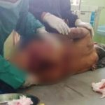 Sedang Nyungkur Udang, Seorang Kakek di Toboali Diserang Buaya