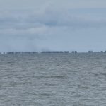 Ratusan PIP Garap Laut Rajik, Kades Sebut Tidak Kantongi Izin