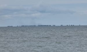 Ratusan PIP Garap Laut Rajik, Kades Sebut Tidak Kantongi Izin