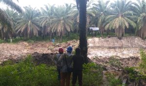 Sosialisasi Keselamatan Ketenagalistrikan, PLN Babel Edukasi Masyarakat Tentang Bahaya Listrik di Jaringan SUTT 150 kV
