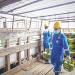 Distribusi Energi Selama Pemilu 2024 Berjalan Lancar, Pertamina Apresiasi Berbagai Pihak