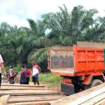Polsek Payung Amankan Ratusan Balok Kayu di Kawasan Hutan Produksi, Diduga Hasil Pembalakan Liar
