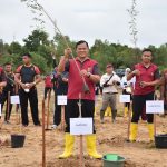 Polda Babel Kembali Tanam Ribuan Pohon Kayu Putih di Lahan Bekas Tambang Area Bandara