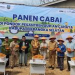 Ponpes Cahaya Quran Basel Panen Cabai, Wabup Debby Apresiasi Upaya BI Babel Kendalikan Inflasi Daerah