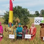 Mendes PDTT Halim Iskandar Hadiri Pesta Adat Murok Jerami Desa Namang  