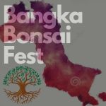 Bangka Bonsai Fest 2024 Bakal Digelar di Museum Timah Indonesia Mentok, Catat Jadwalnya