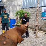 DPC PKS Bangka Tengah Bagikan 1000 Paket Daging Kurban