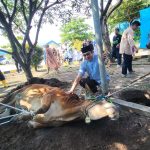 Peringati Iduladha 1445 H, Pegawai PLN Babel Salurkan 1300 Paket Daging Kurban