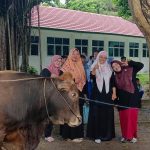 Iduladha, SMPN 1 Koba Kurban 1 Ekor Sapi Limosin