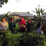 Bupati Basel Apresiasi Kesuksesan KWT Sadai Berseri Mampu Tanam Holtikultura di Kawasan Pesisir