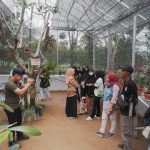Hari Konservasi Alam Nasional, Pertamina Kuatkan Ekosistem Flora Fauna di Sumbagsel
