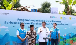 Ubah Lahan Kritis Jadi Hijau dan Produktif, PLN Kembangkan Ekosistem Biomassa Berbasis Pertanian Terpadu