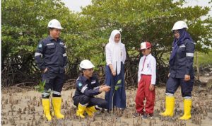 Gencarkan Penanaman Mangrove, Langkah Nyata PT Timah Dalam Mitigasi Perubahan Iklim