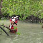 Rutin Lakukan Pemantauan Biota Laut, Komitmen PT Timah Menjaga Keseimbangan Ekosistem Pesisir