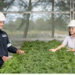 PT Timah Komitmen Pengelolaan Lingkungan untuk Masa Depan Berkelanjutan