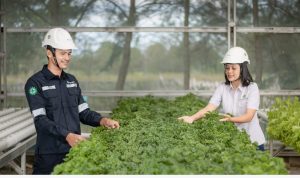 PT Timah Komitmen Pengelolaan Lingkungan untuk Masa Depan Berkelanjutan