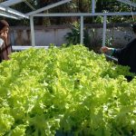 Hidropenting Kelurahan Berok Masuk 35 Besar Inovasi Pelayanan Publik Tingkat Provinsi