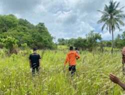 Nenek 81 Tahun Diduga Hilang di Kebun Desa Pasir Putih, Tim SAR Gabungan Lakukan Pencarian