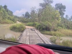 Kawasan Hutan Produksi di Desa Tepus Dibabat TN, Diduga Dikendalikan Bos AT