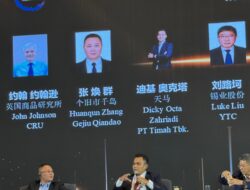 Dunia Menyoroti Indonesia dalam ESG, Khususnya Penambangan Timah Ilegal