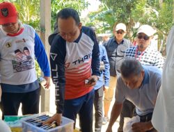 Wujudkan Listrik 24 Jam di Pulau Nangka, Warga Apresiasi Kepemimpinan Algafry