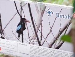 Gotong Royong Melestarikan Satwa, PT Timah Bersama Alobi Foundation Rehabilitasi Ratusan Satwa