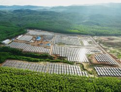 COP29, PLN Dorong Kolaborasi Global Perkuat Energi Hijau di Tanah Air