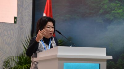 Di COP29 Azerbaijan, PLN Paparkan Berbagai Inisiatif dan Strategi Pembiayaan Transisi Energi