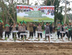 Dukung Program Ketahanan Pangan, Polda Babel dan Jajaran Tanam Ribuan Bibit Tanaman 