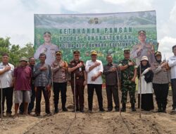 Dukung Program Ketahanan Pangan, Polres Bangka Tengah Tanam Bibit Jagung dan Tebar Benih Ikan