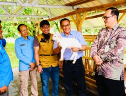 Dorong Kesejahteraan Masyarakat Menjelang Tahun Baru 2025, PLN Serahkan Bantuan TJSL Pemberdayaan Kelompok Kambing Perah di Pangkalpinang