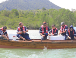 Jaga Populasi Kepiting Bakau, PT Timah Lepaskan Ribuan Bibit Kepiting di Perairan Kundur dan Karimun