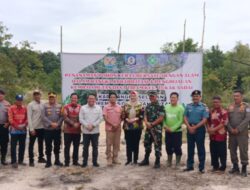 Hadiri Giat Penanaman Pohon, Wabup Debby Apresiasi Langkah Kodim 0432 Basel Jaga Kelestarian Lingkungan