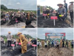 Polres Bangka Selatan dan PT FAL Kolaborasi Tanam Benih Jagung Dukung Program Swasembada Pangan 2025