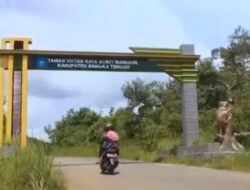 Diterpa Isu Soal Penyalahgunaan Kerja Sama Penggunaan Tahura Mangkol, Begini Respon DLH Bateng