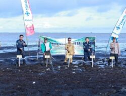Cegah Abrasi dan Jaga Ekosistem Pesisir, PT Timah Tanam 3000 Mangrove di Pantai Sesai Party Beach