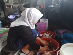 Dari Pakaian ke Peras Kelapa, Kisah Transformasi Usaha Nuriah bersama PT Timah