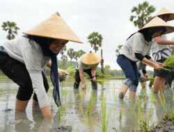 PLN Gelar Relawan Bakti BUMN di Sumba Timur, Kolaborasi Kementerian dan Lintas BUMN Untuk Pengabdian Masyarakat