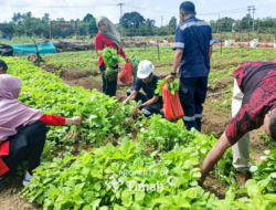 Tidak Hanya Dukung Ketahanan Pangan, Farm Estate Tanjung Ular Ciptakan Kesempatan Kerja Bagi Masyarakat