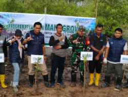 Mangrove untuk Pesisir Berkelanjutan, PT Timah Kembali Tanam Ribuan Mangrove di Desa Sawang Laut