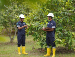Reklamasi Berkelanjutan, Upaya PT Timah Jaga Ekosistem Pasca Tambang