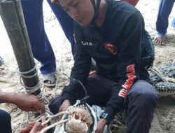 Tim Damkar PB Basel Evakuasi Buaya 2,7 Meter di Laut Mempunai