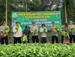 Dukung Ketahanan Pangan Nasional, Polres Bangka Selatan Panen Bersama di Desa Rias