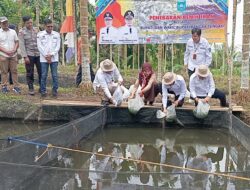 Bupati Algafry Tinjau Hasil Bedah UPI Hingga Tebar 7 Ribu Benih Ikan
