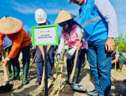 GM PLN Babel Tingkatkan Kolaborasi dengan BASARNAS dan Pemkab Bangka, Perkuat Ekosistem Pesisir dengan Tanam Mangrove Dalam Rangkaian Kegiatan HUT Basarnas ke-53
