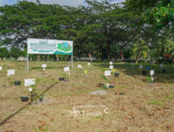 Kolaborasi Tingkatkan Ketahanan Energi, PT Timah Bersama PLN dan METI Tanam 1500 Pohon Angsana di Taman Energi Balai Karya
