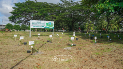 Kolaborasi Tingkatkan Ketahanan Energi, PT Timah Bersama PLN dan METI Tanam 1500 Pohon Angsana di Taman Energi Balai Karya