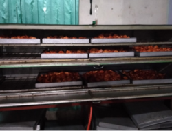 Keripik Singkong Oven DISTI, Dari Warung Kecil hingga Menembus Retail Modern Berkat Dukungan PT Timah