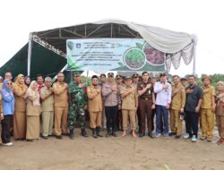 BumDes Pesisir Jaya Besamo Desa Belo Laut Tanam Jagung Pipil di Lahan Dua Hektare