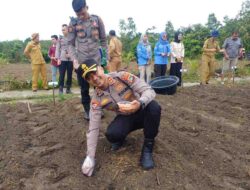 Wujudkan Ketahanan Pangan, Kapolres Bangka Barat Beri Apresiasi Terhadap BumDes Belo Laut